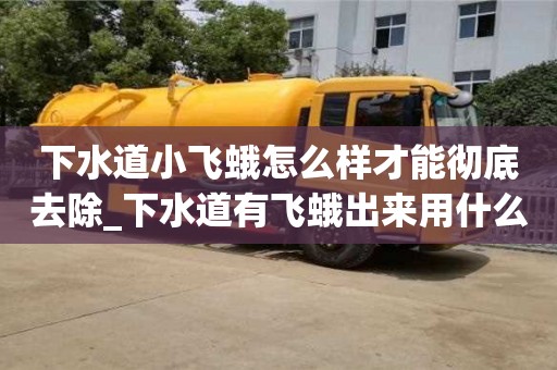 成都下水道小飞蛾怎么样才能彻底去除_下水道有飞蛾出来用什么治