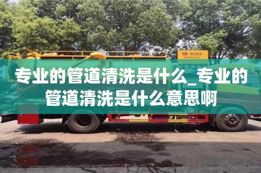 专业的管道清洗是什么_专业的管道清洗是什么意思啊