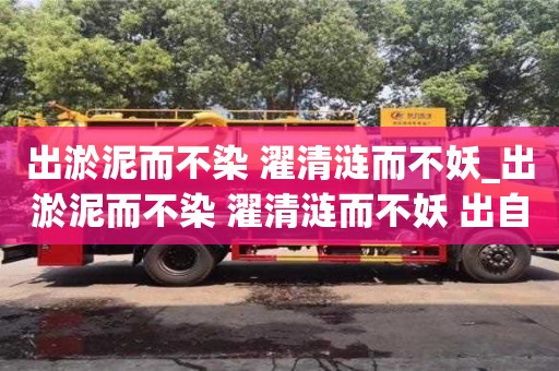出淤泥而不染 濯清涟而不妖_出淤泥而不染 濯清涟而不妖 出自哪首诗