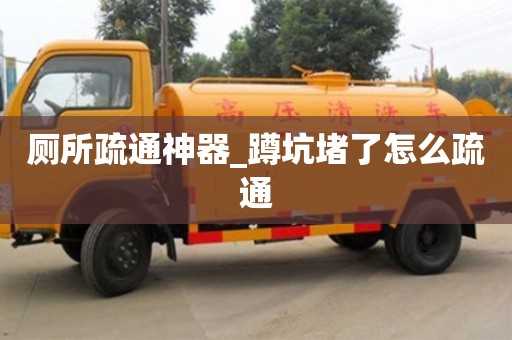 厕所疏通神器_蹲坑堵了怎么疏通