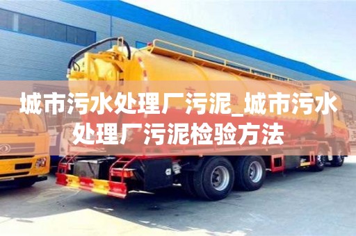 城市污水处理厂污泥_城市污水处理厂污泥检验方法