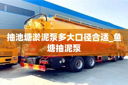抽池塘淤泥泵多大口径合适_鱼塘抽泥泵