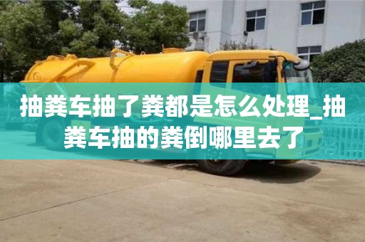 抽粪车抽了粪都是怎么处理_抽粪车抽的粪倒哪里去了