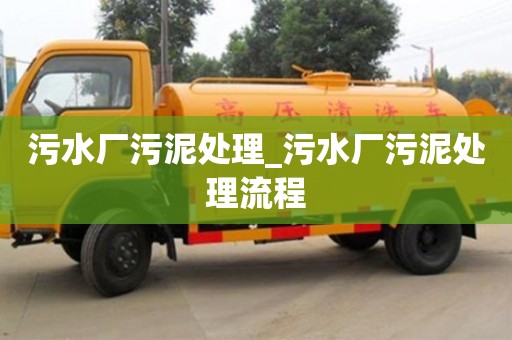 污水厂污泥处理_污水厂污泥处理流程