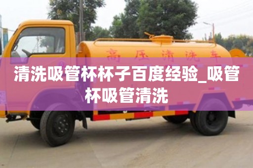 清洗吸管杯杯子百度经验_吸管杯吸管清洗