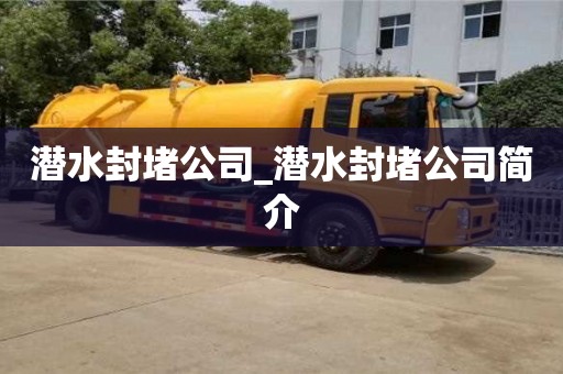 潜水封堵公司_潜水封堵公司简介