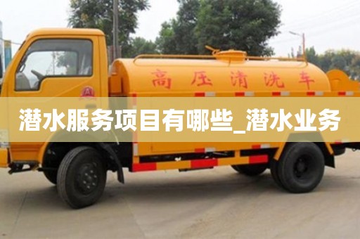 潜水服务项目有哪些_潜水业务