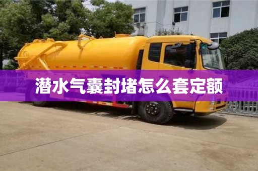 重庆潜水气囊封堵怎么套定额