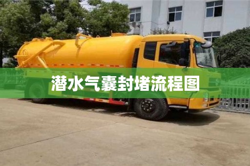 潜水气囊封堵流程图