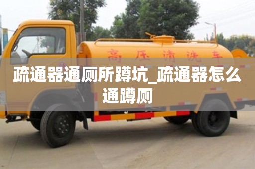疏通器通厕所蹲坑_疏通器怎么通蹲厕