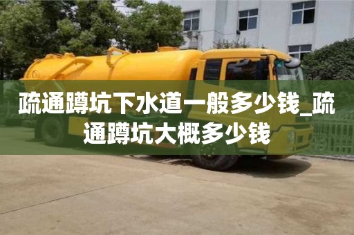 疏通蹲坑下水道一般多少钱_疏通蹲坑大概多少钱