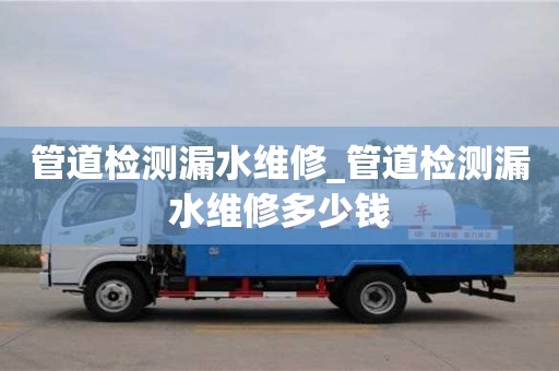 管道检测漏水维修_管道检测漏水维修多少钱