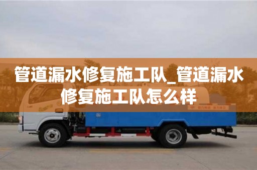 管道漏水修复施工队_管道漏水修复施工队怎么样