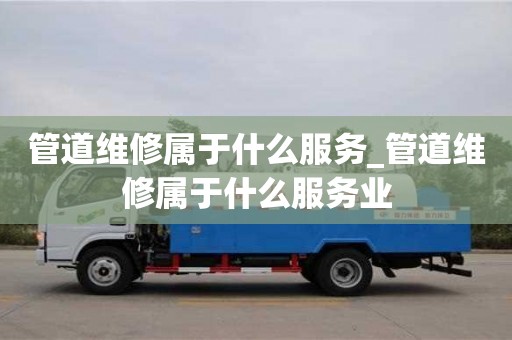 管道维修属于什么服务_管道维修属于什么服务业
