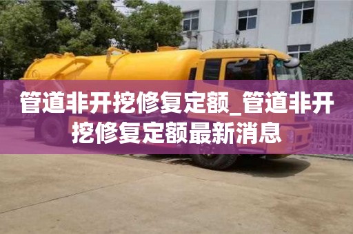 管道非开挖修复定额_管道非开挖修复定额最新消息