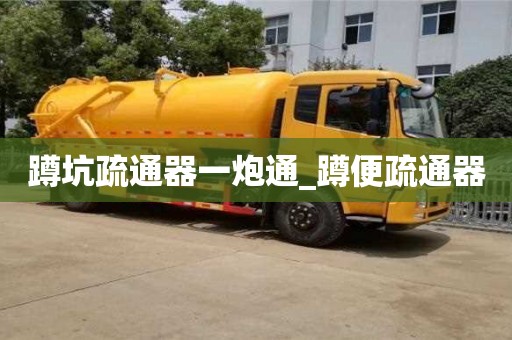 蹲坑疏通器一炮通_蹲便疏通器