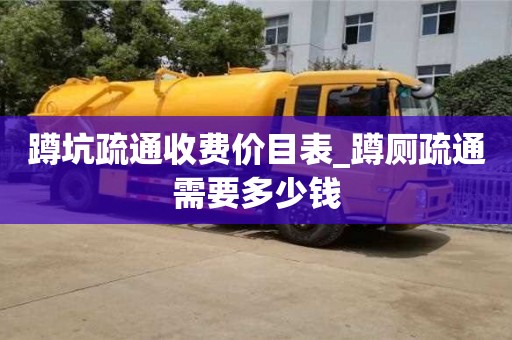 蹲坑疏通收费价目表_蹲厕疏通需要多少钱