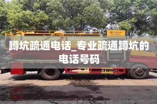 蹲坑疏通电话_专业疏通蹲坑的电话号码