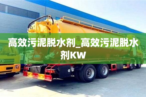 高效污泥脱水剂_高效污泥脱水剂KW