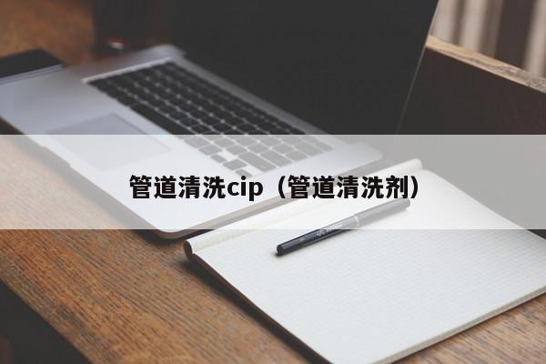 石家庄管道清洗cip（管道清洗剂）